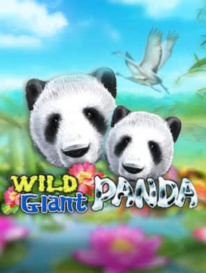 Wild Giant Panda